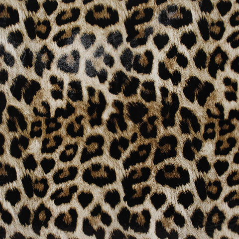 805/Leopard PATTERN HTV, 12x12"