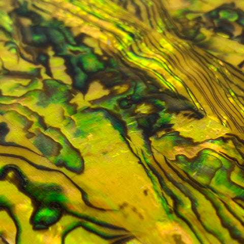 Yellow Abalone Shell Inlay